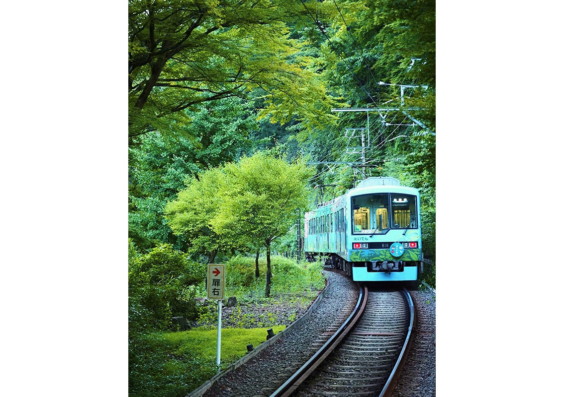 「みどり」  マンガ学部 アニメーションコース1年 チン ラクキ