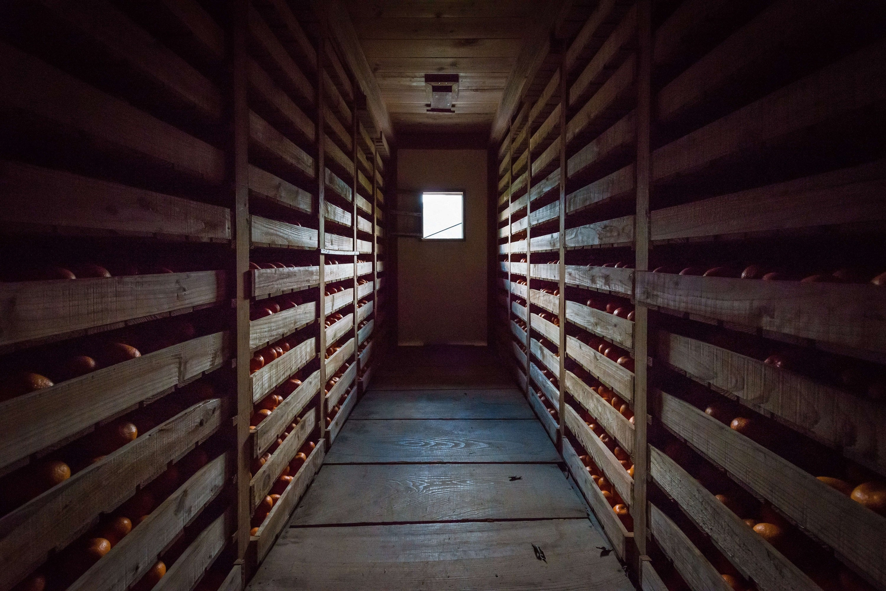 勝浦熟成みかん（貯蔵庫）