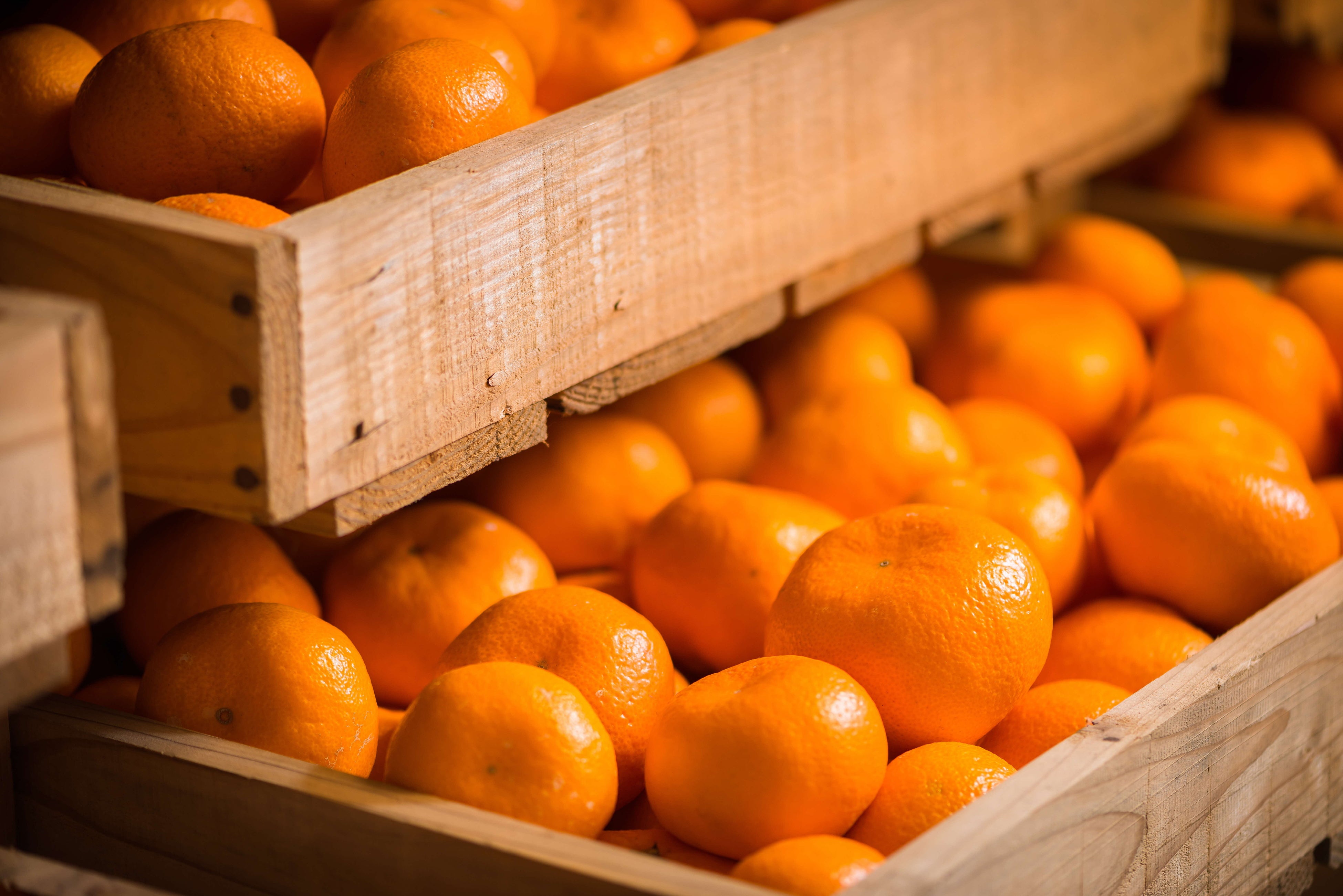 勝浦熟成みかん