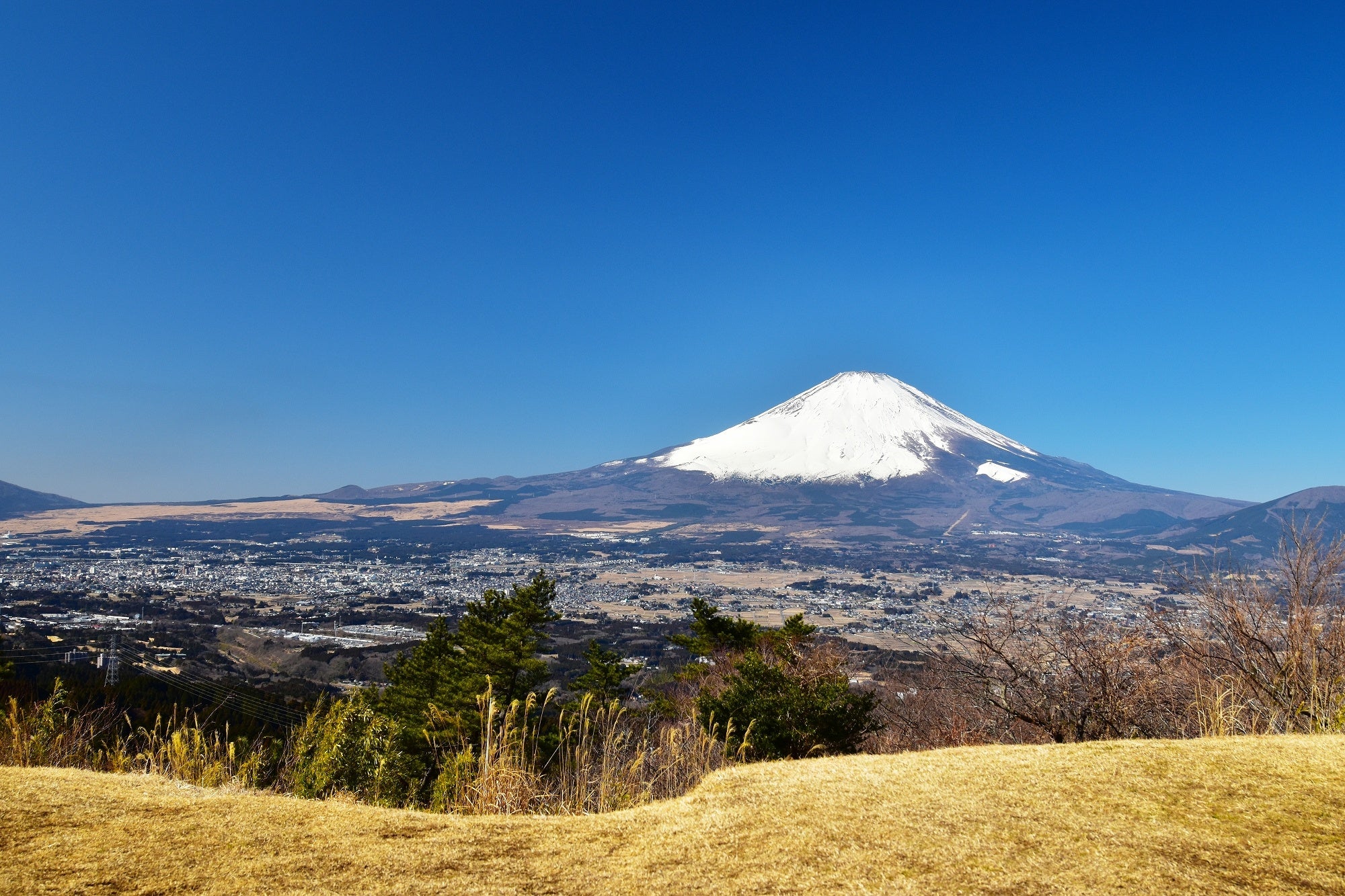 県道78号線、足柄峠からの絶景