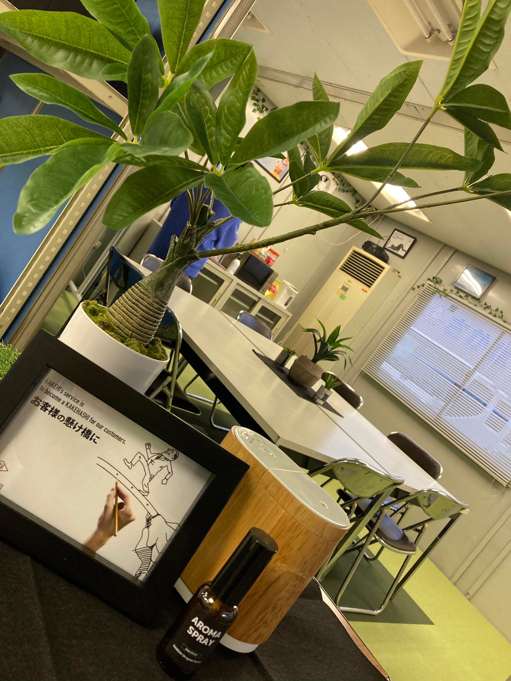 事務所内もグリーンを増やし安らげる空間へ