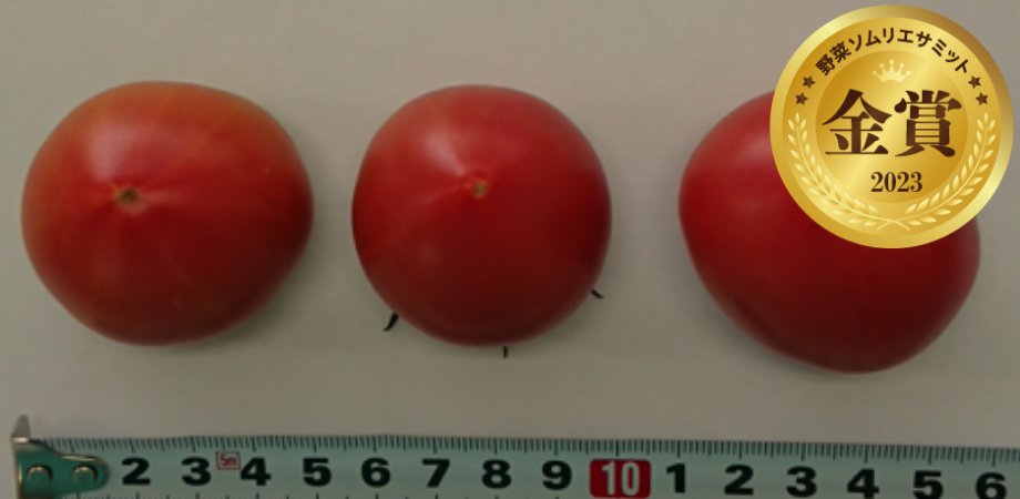 アップルトマト　（東山農園／茨城県行方市）