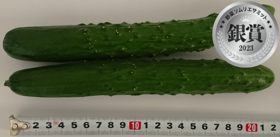 飯塚さんちのきゅうり　（飯塚農園／秋田県湯沢市）