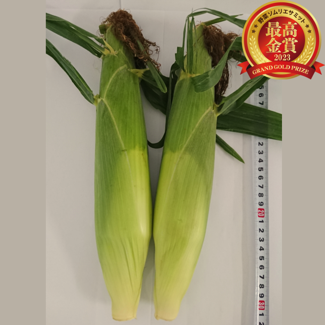 なる吉のとうもろこし　　　（川越なるかわ農園／埼玉県川越市）