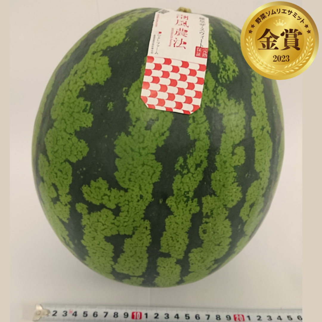 潮風農法スイカ　（つよしファーム／新潟県新潟市）