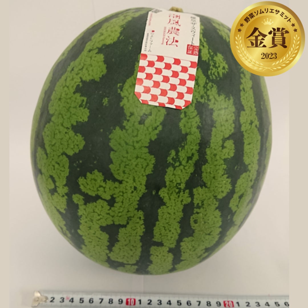 潮風農法スイカ (つよしファーム/新潟県新潟市)