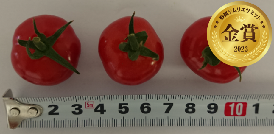 ミサトファームの美健トマト🄬（プチぷよ）　 （ミサトファーム／福島県大沼郡会津美里町）