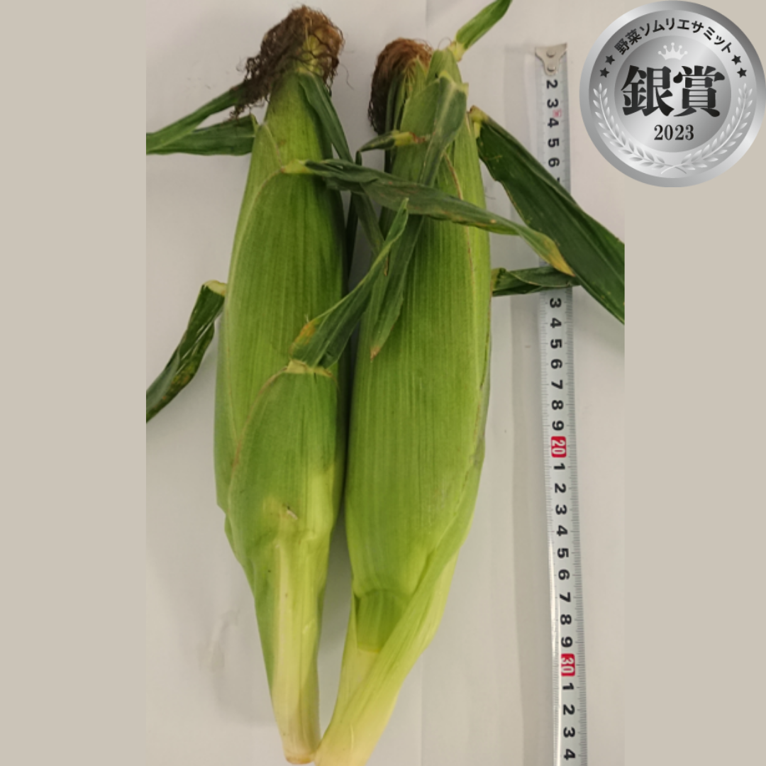 金色の実り　（杉浦雄太　杉中園芸／愛知県碧南市）