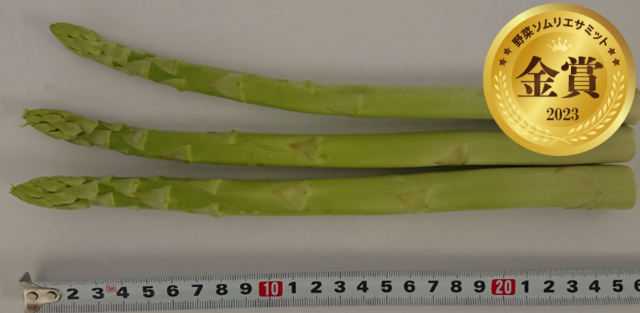 陸奥産の竜髭菜 将軍　　　（株式会社Good field farm／福島県福島市）