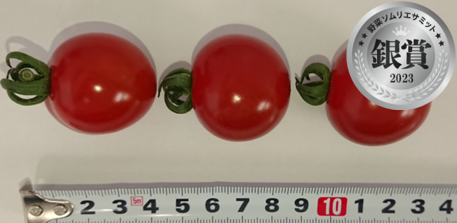 ゆみちゃんのミニトマト　（五十嵐利昭／福島県会津坂下町）