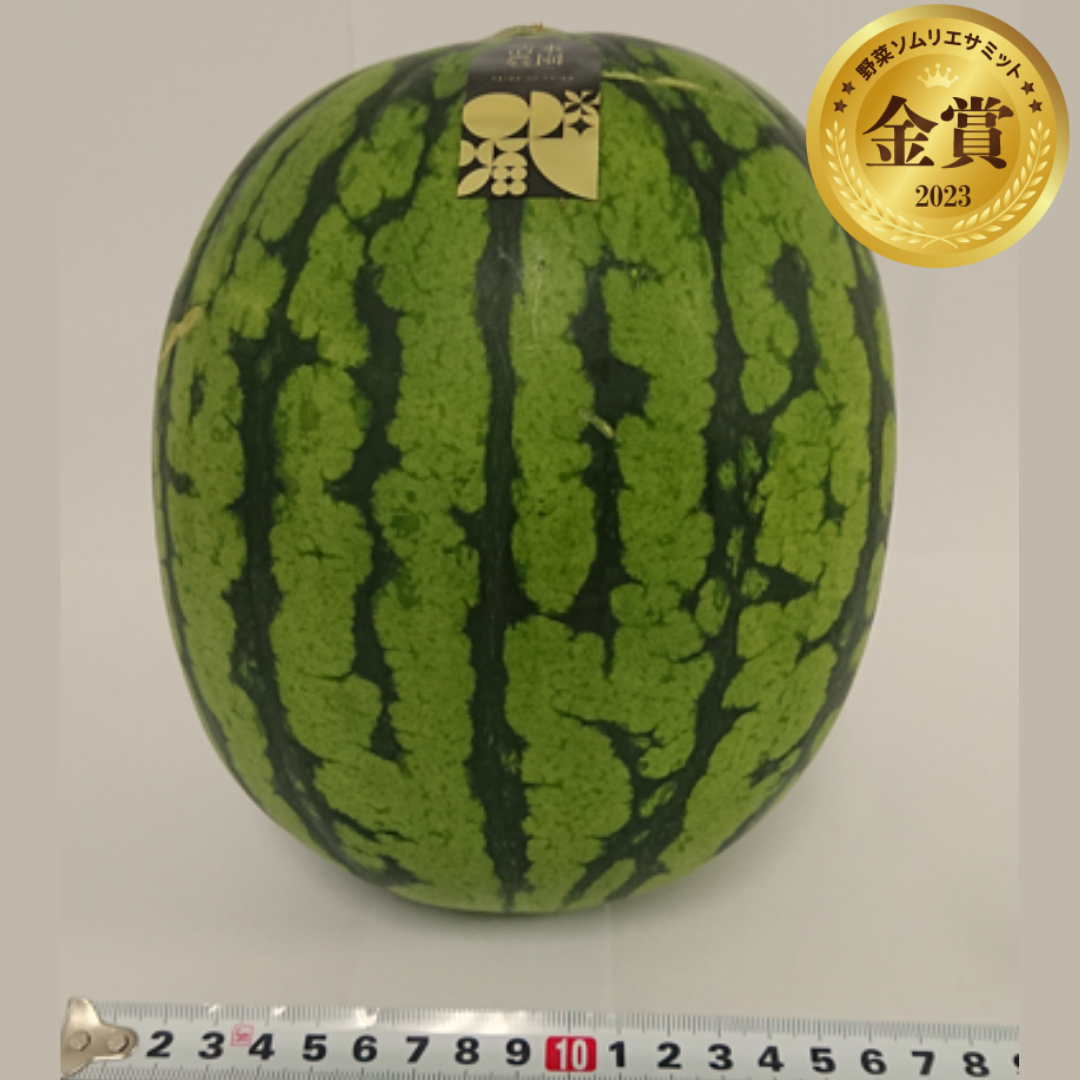 清水農園の八色産小玉スイカ　（株式会社清水農園／新潟県南魚沼市）