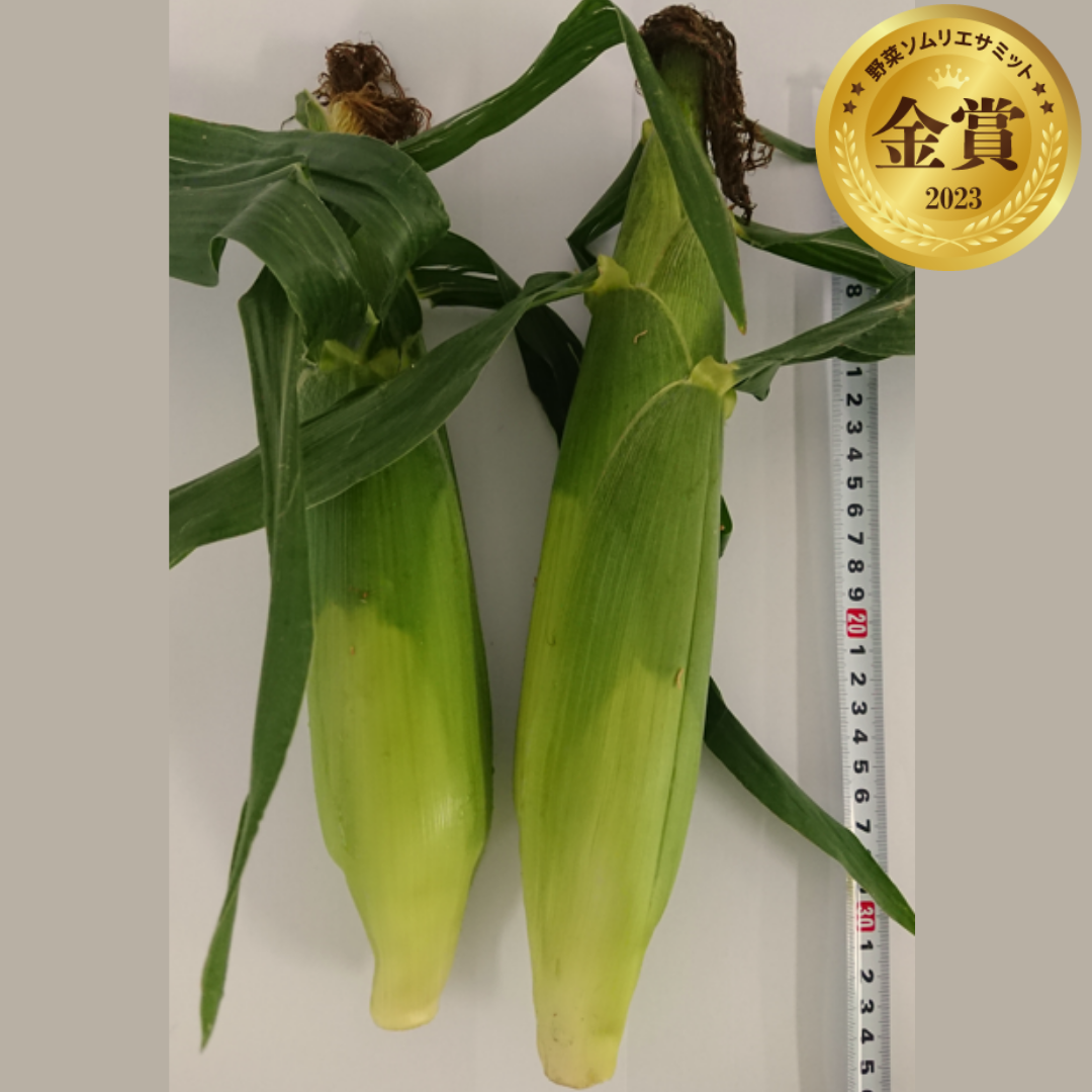 なる吉のとうもろこし　（川越なるかわ農園／埼玉県川越市）