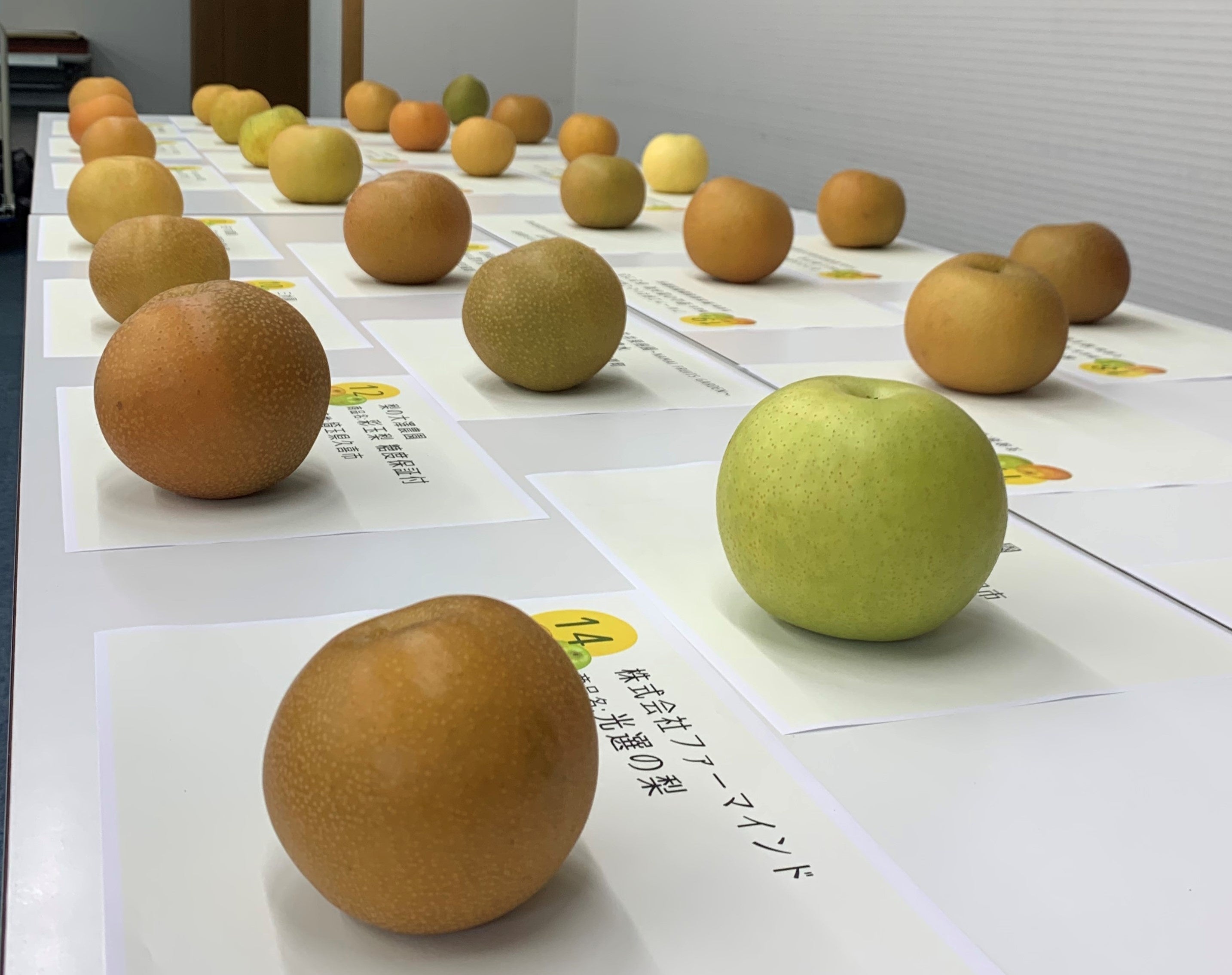 全国から28品がエントリー