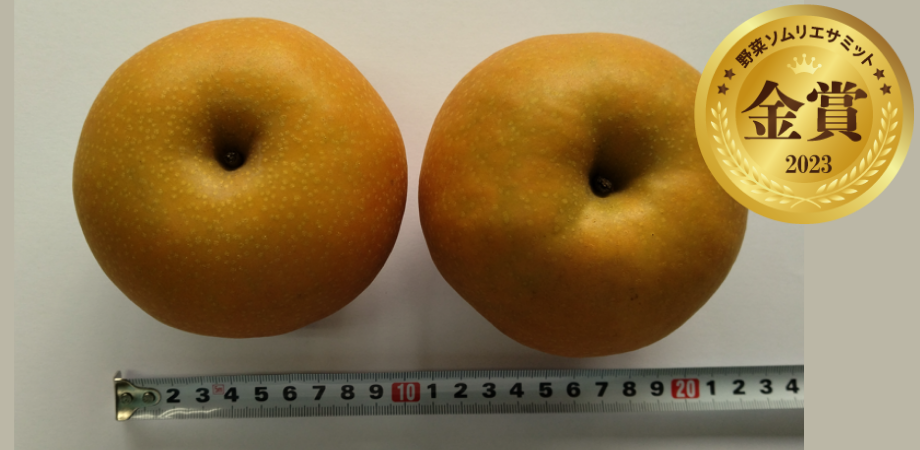 ＜金賞＞　いしまのSUN南水 （たわらや農園／長野県松本市）