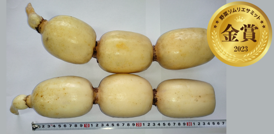 ＜金賞＞　えのヤンれんこん　（榎本和浩／茨城県土浦市）