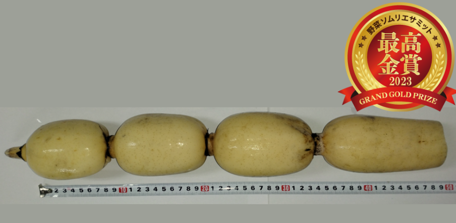 ＜最高金賞＞　レンコン　（松原レンコンファーム／千葉県香取市）