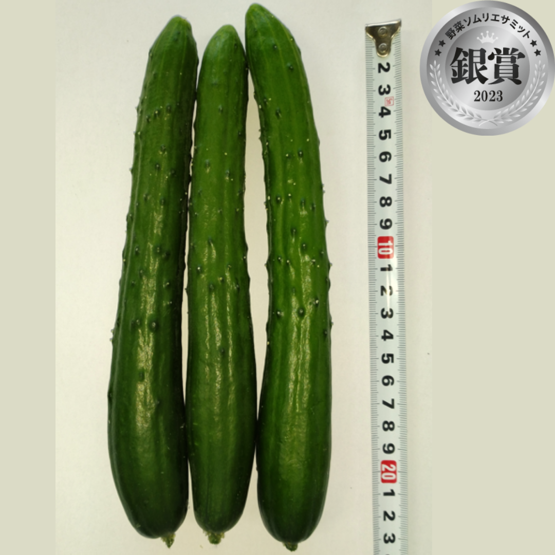＜銀賞＞　ひなたのきゅうり　（ひなたきゅうり／群馬県桐生市）