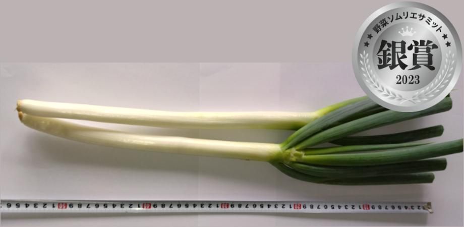 ＜銀賞＞　長ネギ　（株式会社元気もりもり山森農園／神奈川県三浦市）