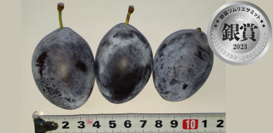 ＜銀賞＞　サンプルーン Nakamura Farm　 北海道余市郡仁木町）