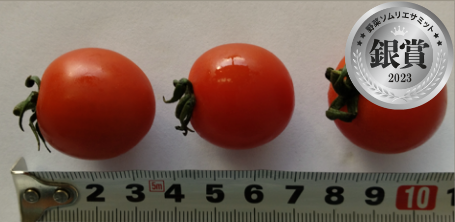 ミニトマト &nbsp;アルル あま！うま！　（西森篤志／宮崎県児湯郡高鍋町）