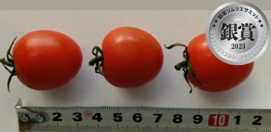 ミニトマト &nbsp;リリカ あま！うま！　（西森篤志／宮崎県児湯郡高鍋町）