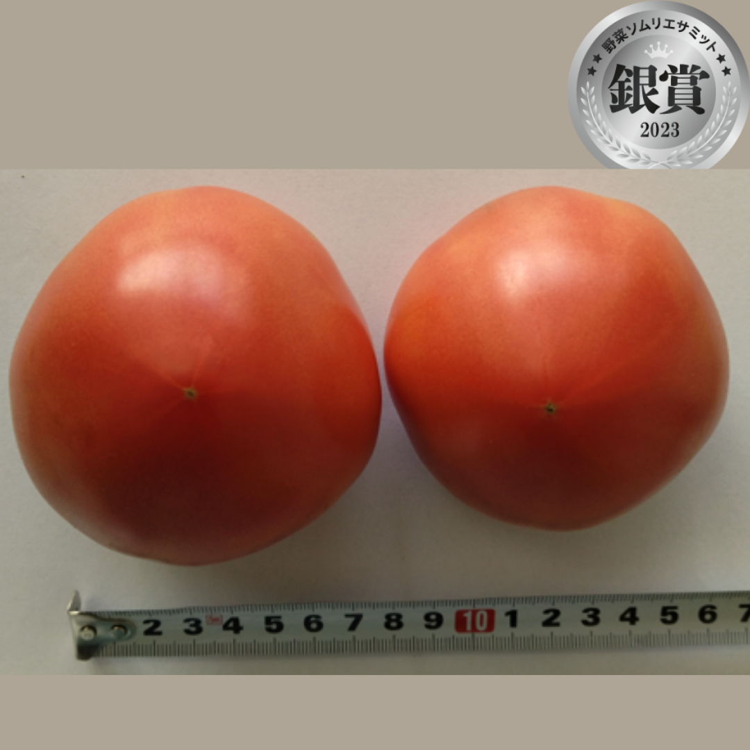 ぶちトマト　（ますぶちファーム／茨城県桜川市）