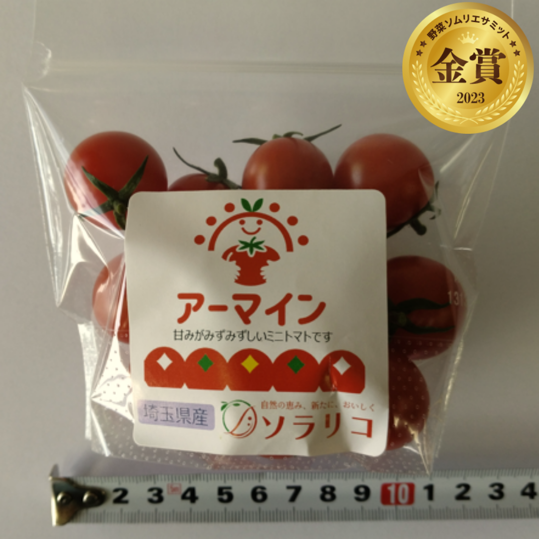 アーマイン🄬　（株式会社ソラリコ／埼玉県上尾市）