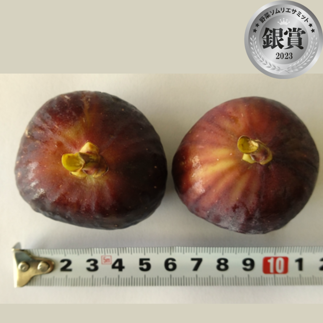 料理人がこだわりぬいた 完熟いちじく&nbsp; （はびいち農園／大阪市羽曳野市）