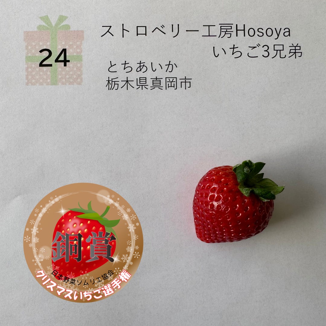 銅賞『とちあいか』 ストロベリー工房Hosoya いちご3兄弟 (栃木県真岡市)