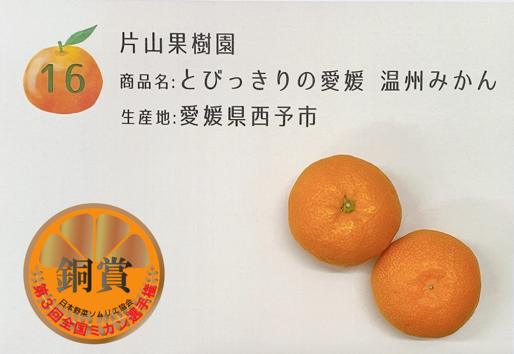 とびっきりの愛媛　温州みかん／片山果樹園