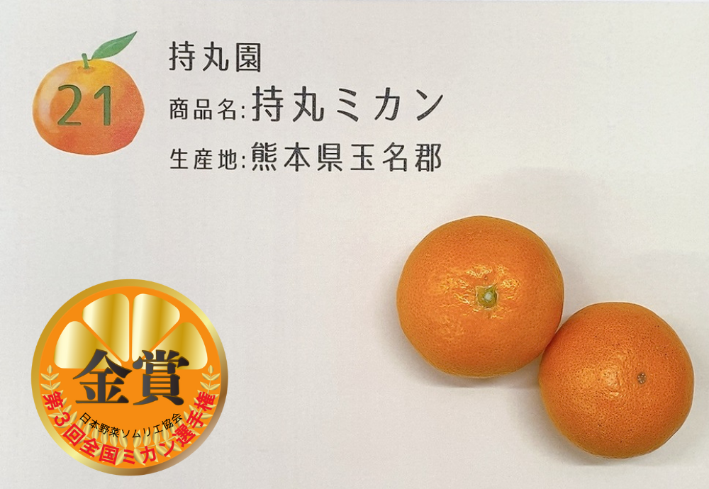 持丸ミカン／持丸園（熊本県玉名郡）