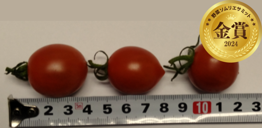 こくパリッ🄬（パナプラス株式会社／栃木県栃木市）