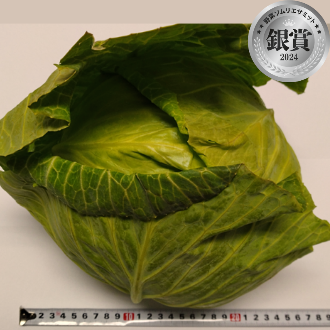 キャベツ（あらちゃんファーム／広島県東広島市）