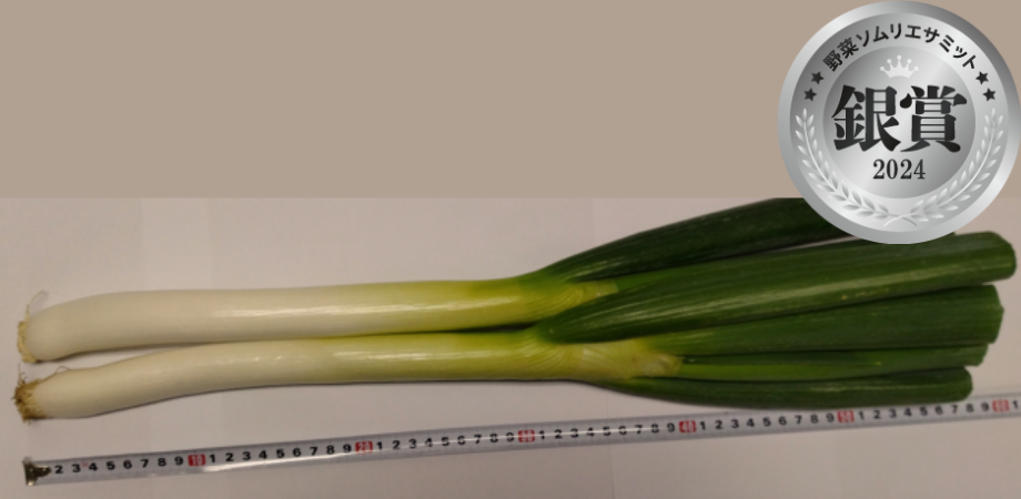 山森農園の長ねぎ（株式会社元気もりもり山森農園／神奈川県三浦市）