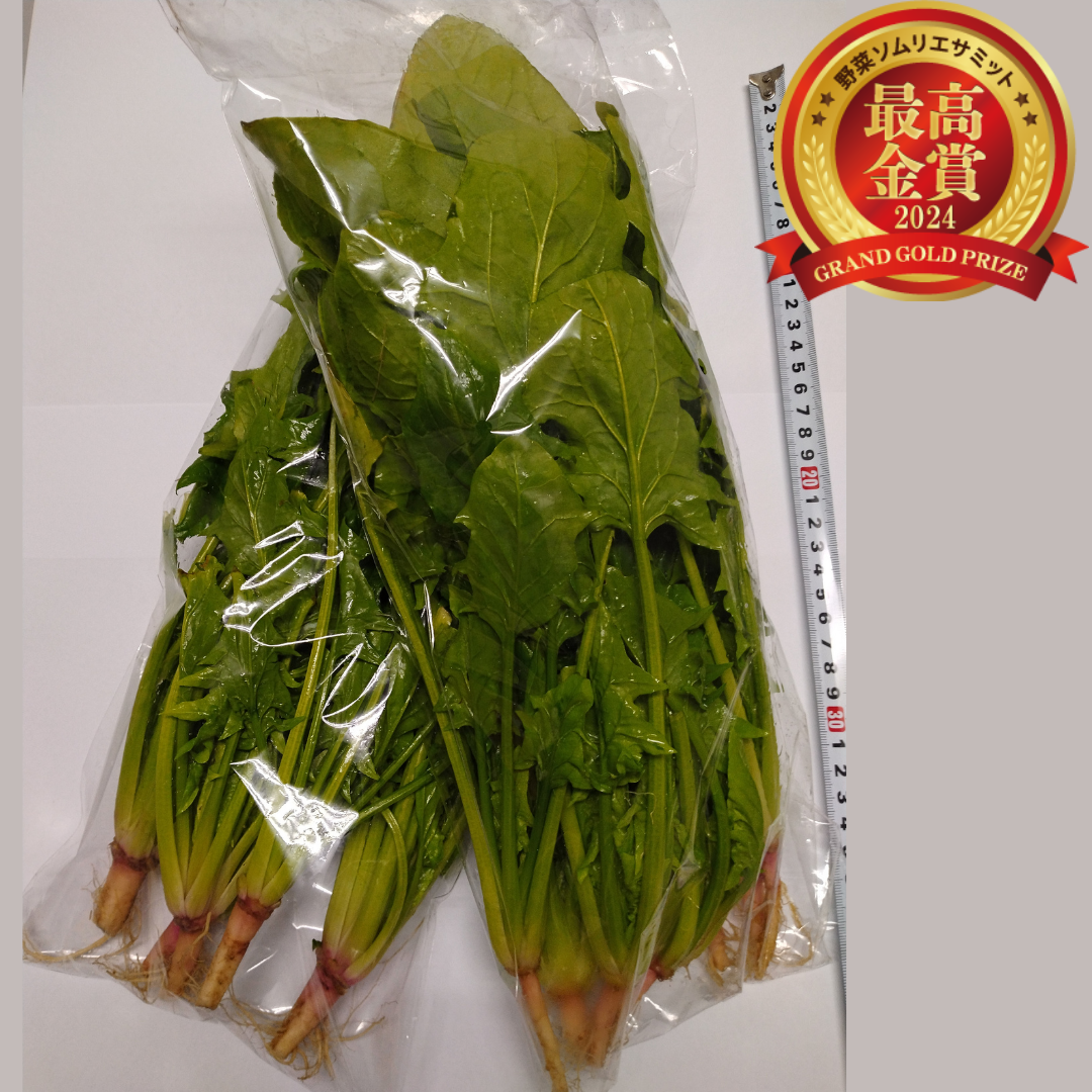 Legendホウレン草（有限会社ニッケイファーム／福島県郡山市）