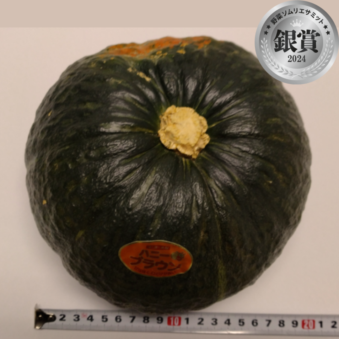 ハニーブラウン（大東園農場／静岡県掛川市）