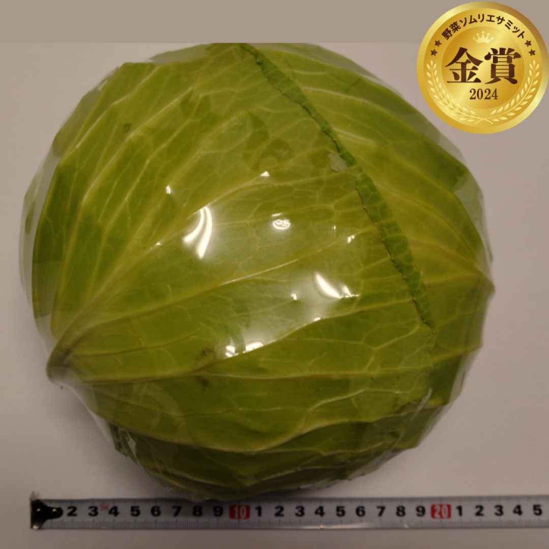 極キャベツ（有限会社ニッケイファーム／福島県郡山市）