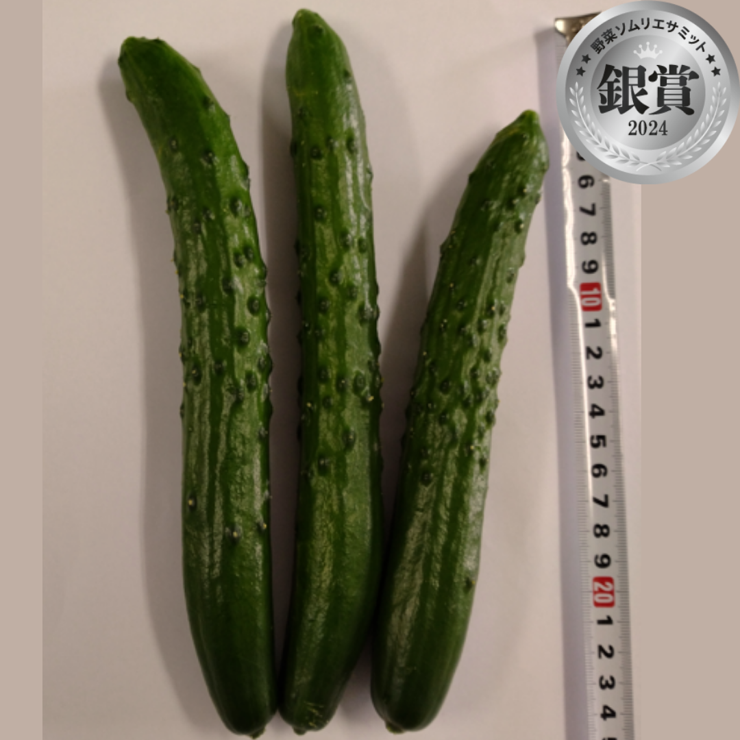 まっすぐ素直で美しく（VIVA DaD／宮崎県宮崎市）