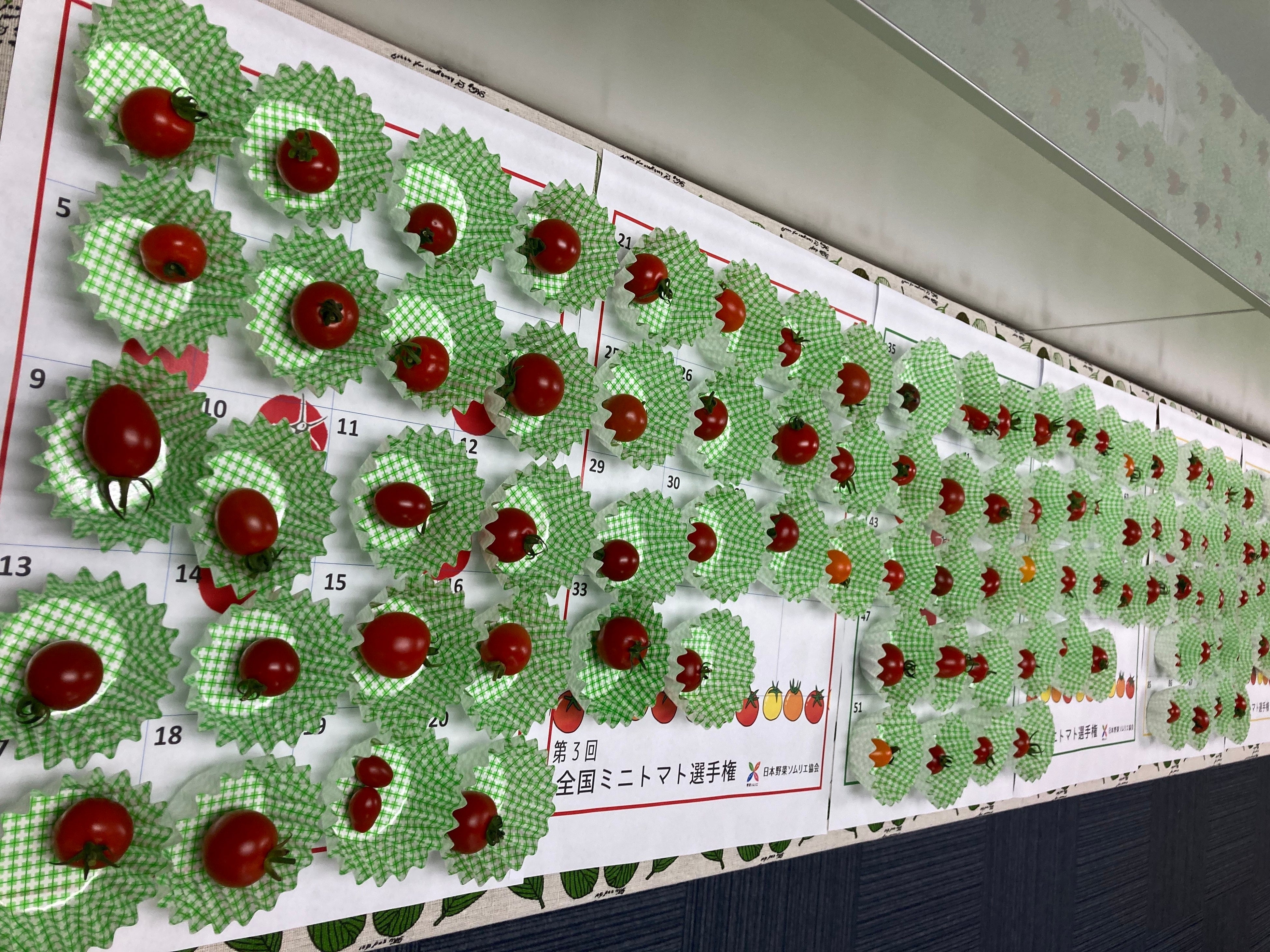 全エントリー　102品