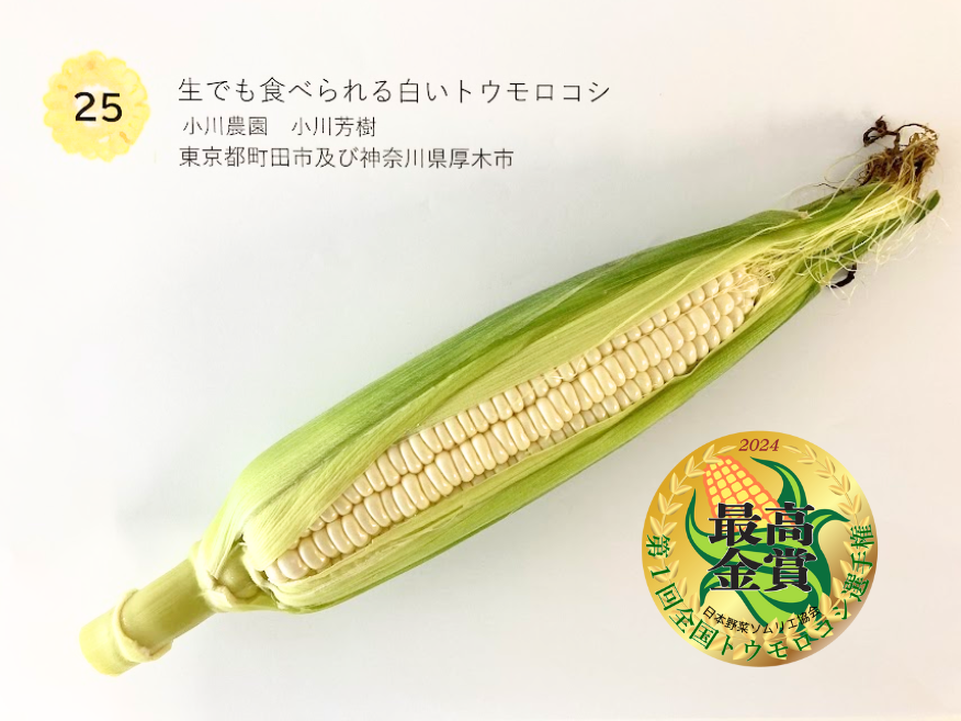 最高金賞 生でも食べられる白いトウモロコシ 小川農園