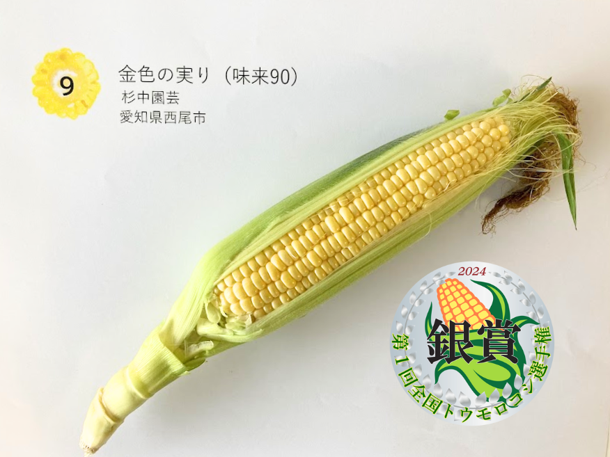 銀賞 金色の実り（味来90） 杉中園芸 愛知県西尾市