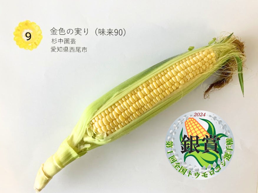 銀賞 金色の実り(味来90) 杉中園芸 愛知県西尾市