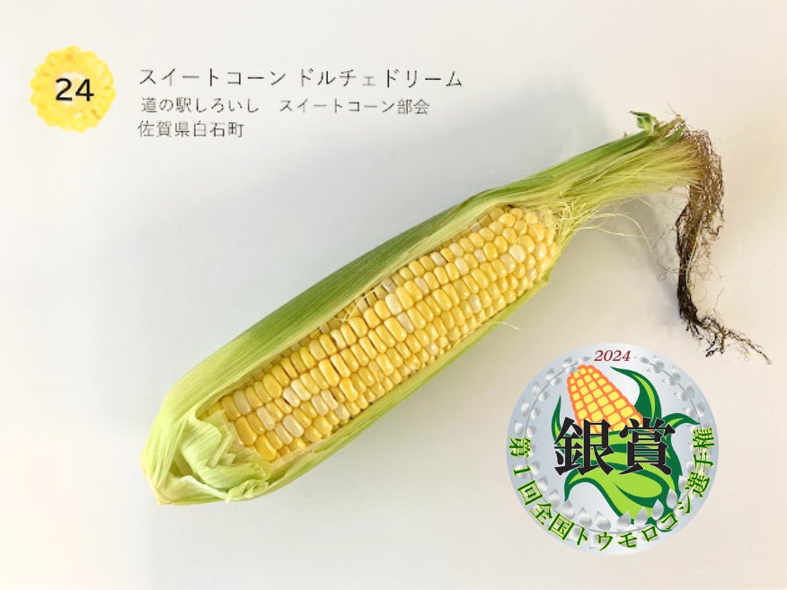 銀賞 スイートコーン ドルチェドリーム 道の駅しろいし スイートコーン部会 佐賀県白石町産