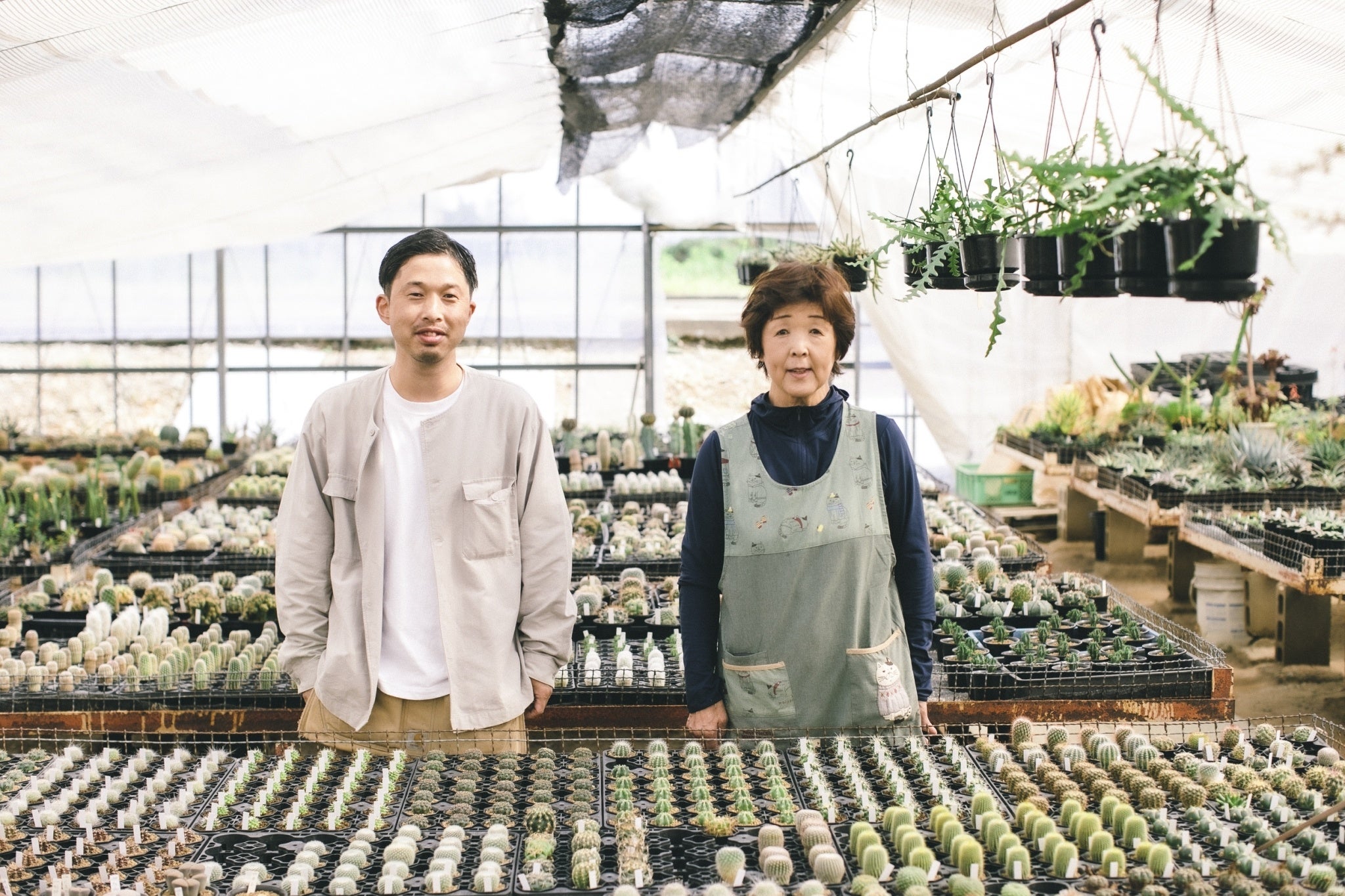 多くの多肉植物を取り扱う後藤サボテン