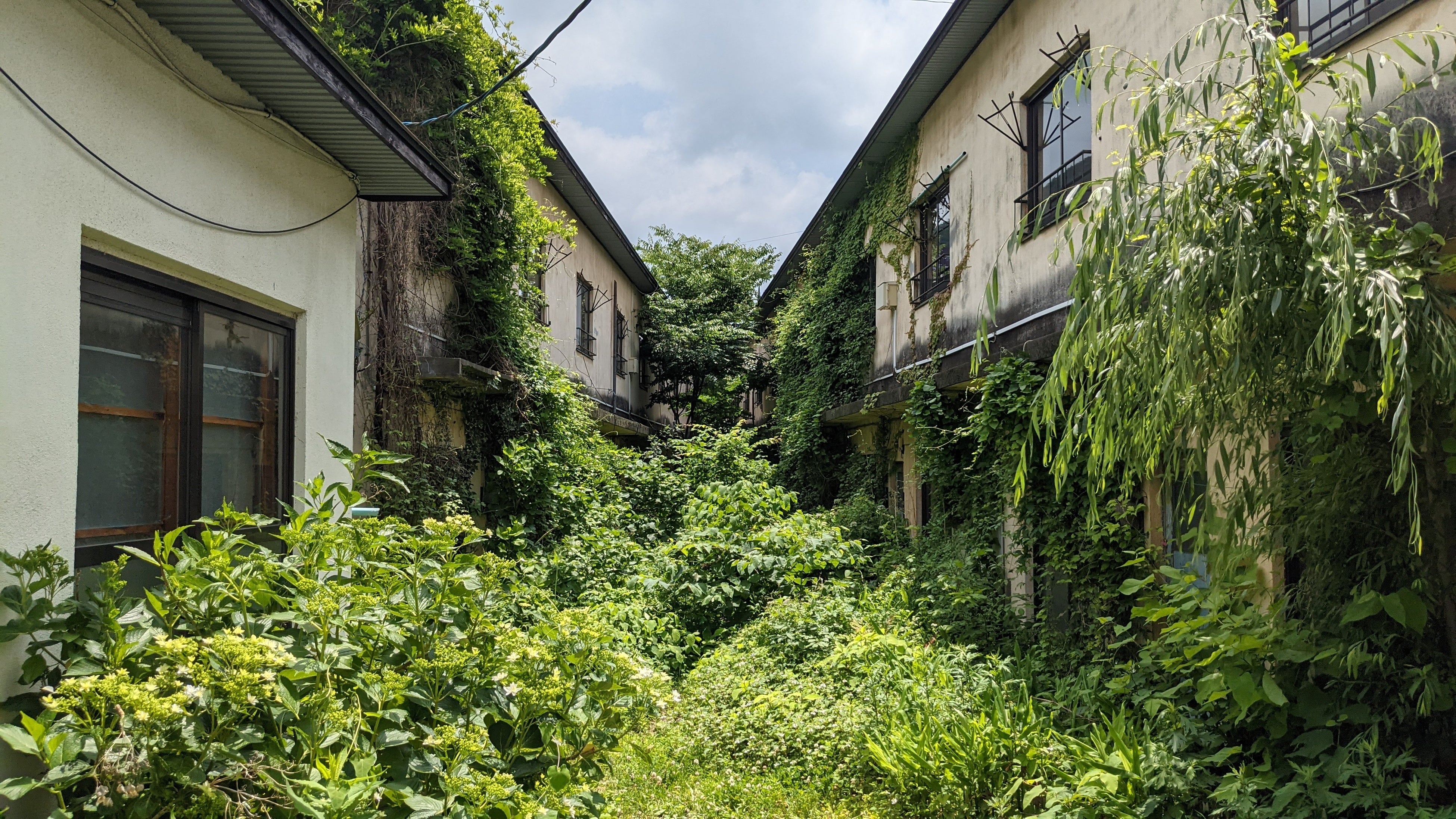 2021年の手入れ前のひがき寮の中庭風景