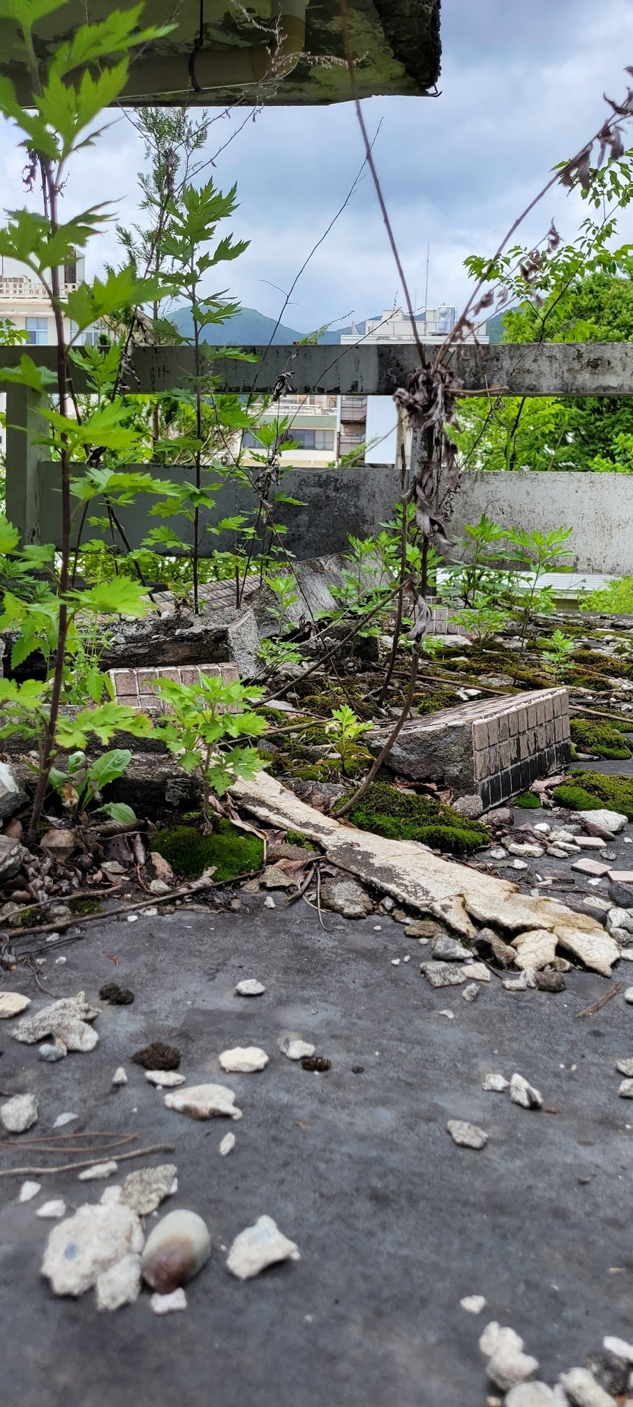 再生前のエネルギーセンター