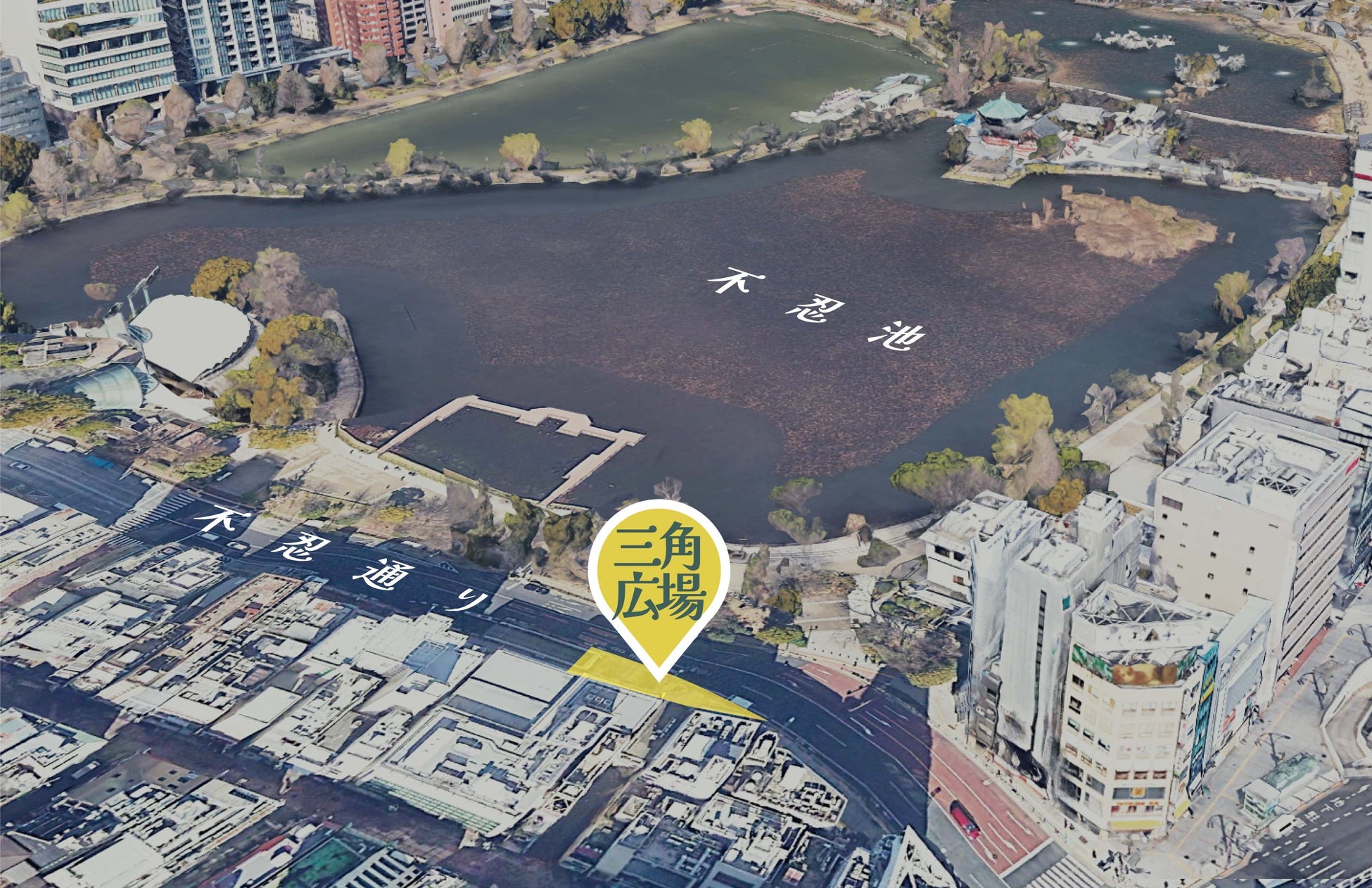 不忍通り「三角広場」日替りブックカフェ会場