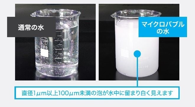 通常の水とマイクロバブル水の比較