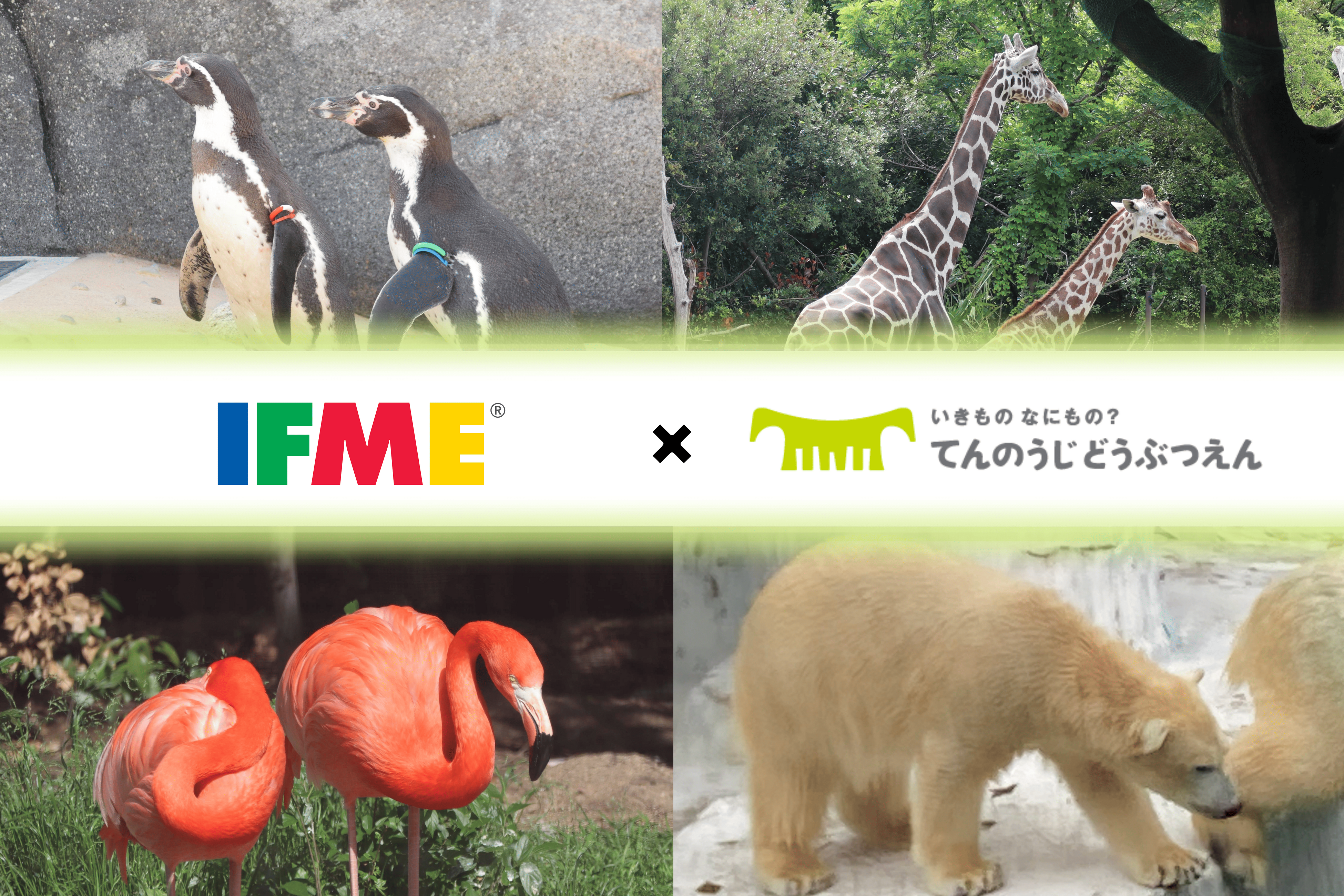 子どもたちの“足”を考える「みらいキッズフットプロジェクト」IFME × 天王寺動物園 コラボイベント開催！