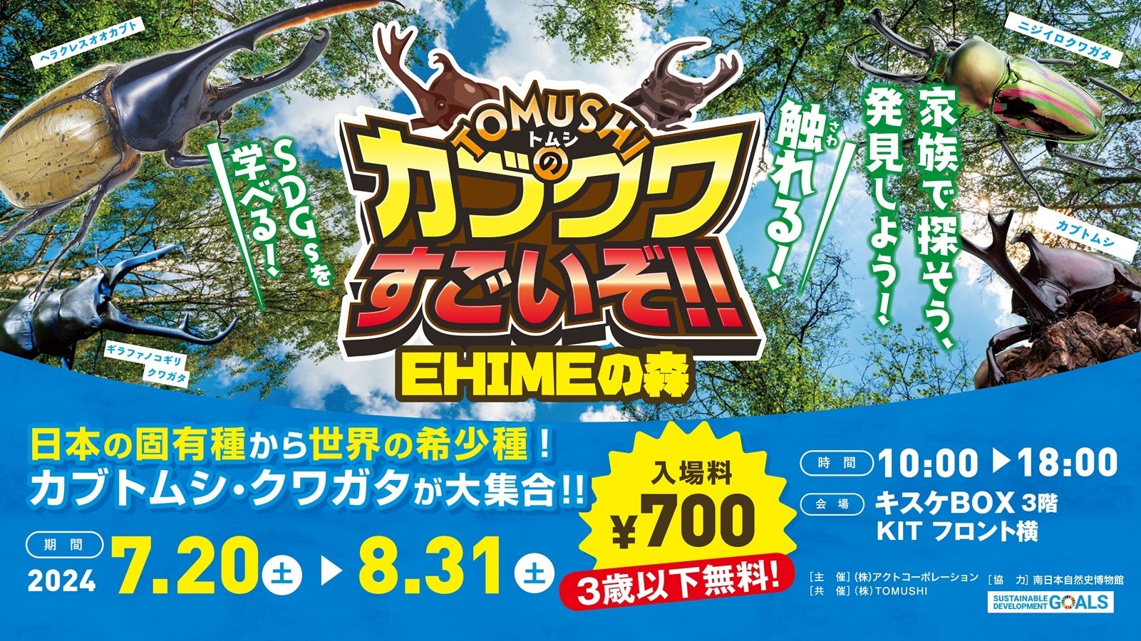 愛媛県 松山市】この夏、世界のカブクワがキスケBOXにやってくる